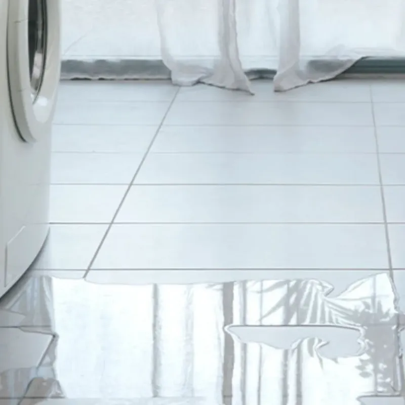 Appliance Leak Cleanup in Shepherd, TX