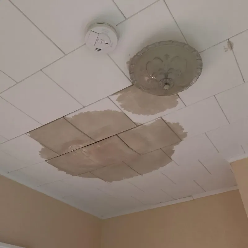 Ceiling Water Damage Repair in Shepherd, TX
